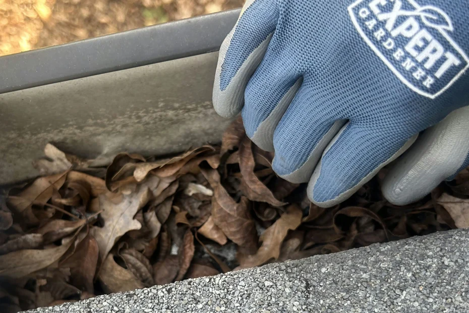 Gutter Cleaning Coopersburg